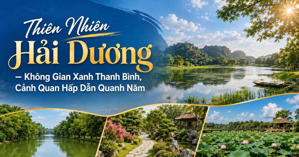 Thiên Nhiên Hải Dương – Không Gian Xanh Thanh Bình, Cảnh Quan Hấp Dẫn Quanh Năm